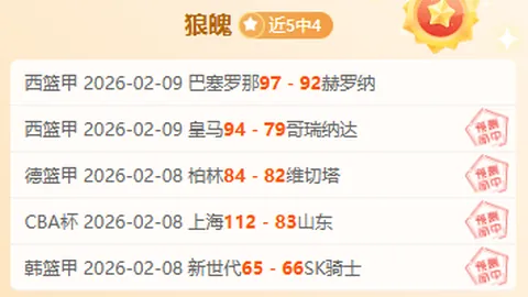 立陶宛冰岛对决前瞻：世预欧两战专家质合分析